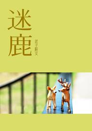 《迷鹿》 作者：武子粽 txt文件大小：748.95 KB