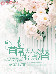 《首席大人，轻点潜》 作者：豆蔻年 txt文件大小：2.25 MB