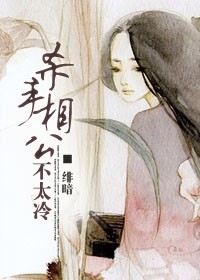 《杀手相公不太冷》 作者：绯暗 txt文件大小：279.66 KB