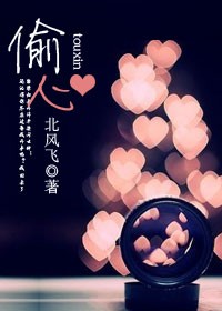 《偷心》 作者：北风飞 txt文件大小：440.39 KB