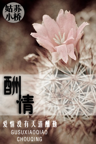 《酬情》 作者：姑苏小桥 txt文件大小：484.37 KB