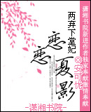 《两弃下堂妃,恋恋夏影》 作者：安可优 txt文件大小：704.21 KB