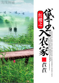 《红楼之黛玉入农家》 作者：苣苣 txt文件大小：458.89 KB