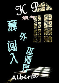 《意外闯入巫师界》 作者：淑气 txt文件大小：384.33 KB