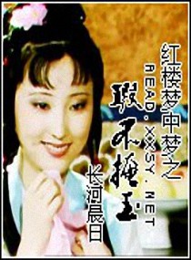 《（红楼同人）红楼梦中梦之瑕不掩玉》 作者：长河晨日 txt文件大小：1.47 MB