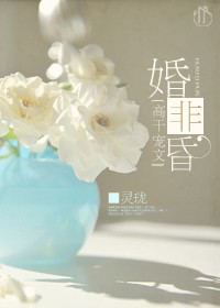《婚非昏》 作者：灵珑 txt文件大小：368.82 KB
