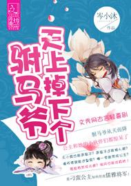 《天上掉下个驸马爷》 作者：岑小沐 txt文件大小：612.18 KB