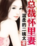 《总裁怀里妻》 作者：温柔的二姨太 txt文件大小：1.17 MB