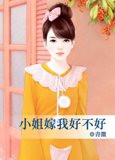 《小姐嫁我好不好》 作者：青微 txt文件大小：142.22 KB