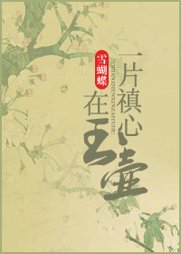 《一片禛心在玉壶》 作者：雪蝴蝶 txt文件大小：806.24 KB