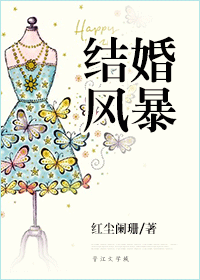 《结婚风暴》 作者：红尘阑珊 txt文件大小：563.68 KB